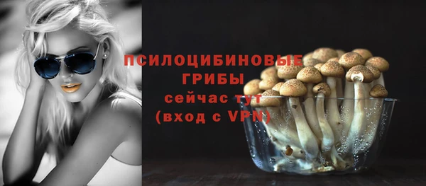 ALPHA PVP Ельня