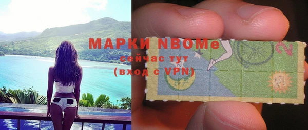 СК Елизово