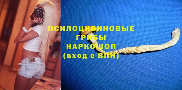 ALPHA PVP Ельня