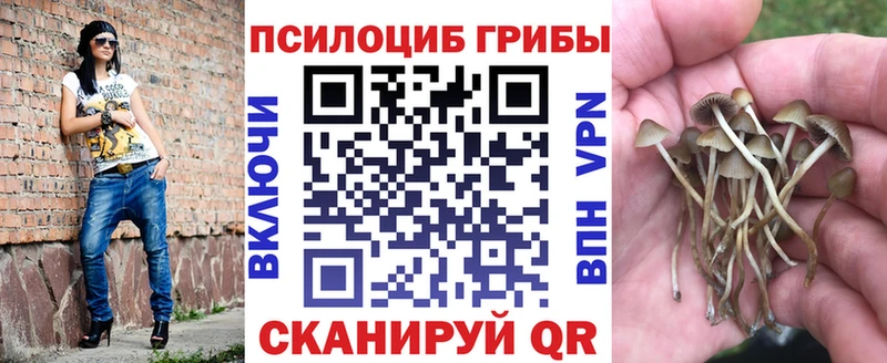Псилоцибиновые грибы GOLDEN TEACHER  мориарти какой сайт  Калач 